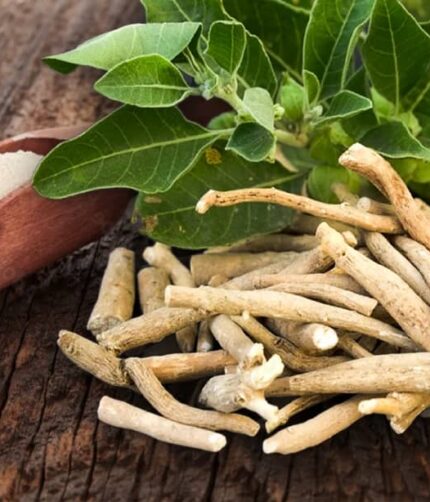 Bulk Organic Ashwagandha Root Powder