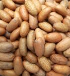Bulk Bitter Kola Nuts & Powder