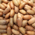 Bulk Bitter Kola Nuts & Powder