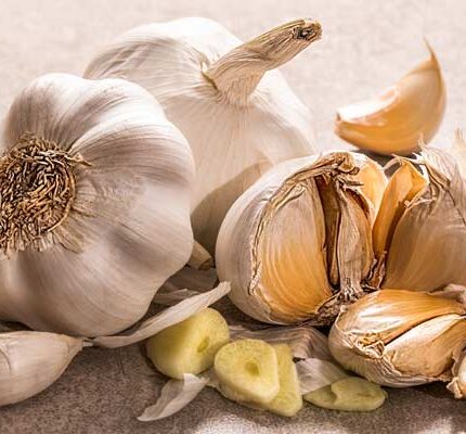 Bulk Dried Garlic Powder, Granulated & Minced