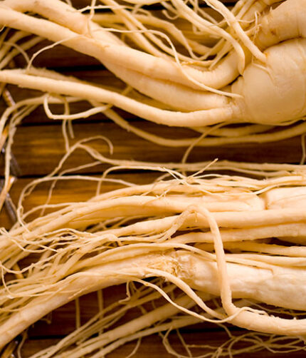 Bulk Panax Ginseng Root & Powder - Wholesale Supplier