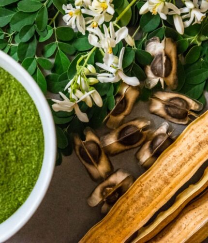 Bulk Organic Moringa Powder, Leaf & Seeds Wholesale Supplier