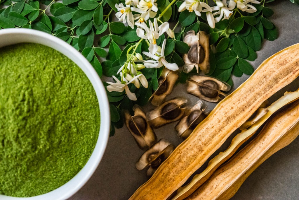 Moringa - 2 Bulk Organic Moringa Powder, Leaf & Seeds Wholesale Supplier