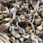 Shrooms (Mycelial/Fruiting Body Components)