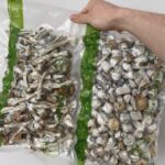 Shrooms (Mycelial/Fruiting Body Components)