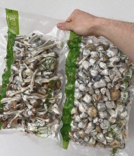 Shrooms (Mycelial/Fruiting Body Components)