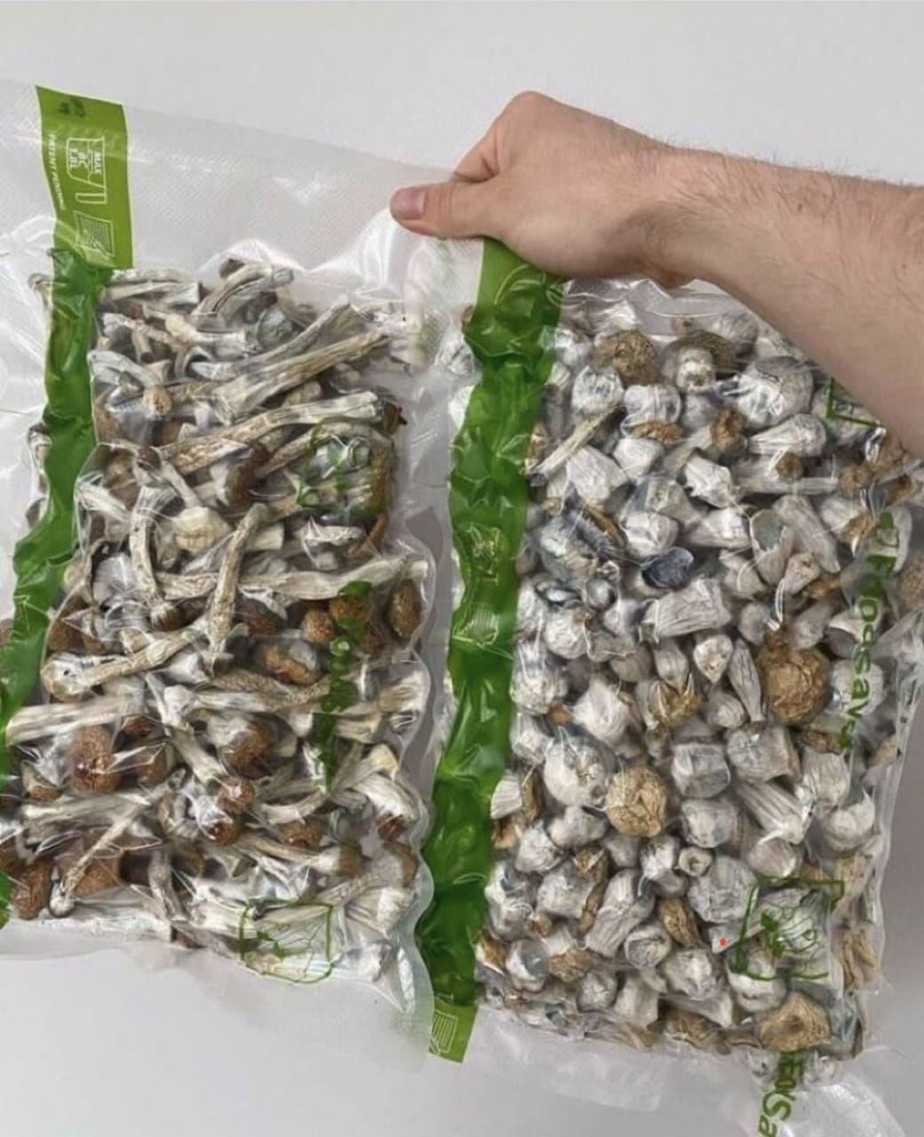 Shrooms - 2 Shrooms (Mycelial/Fruiting Body Components)