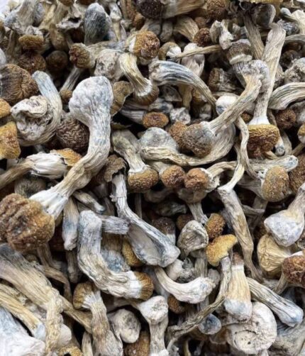 Shrooms (Mycelial/Fruiting Body Components)