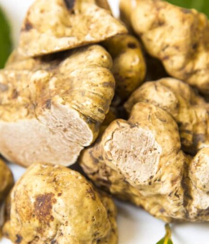 Gourmet & Luxury Specialty